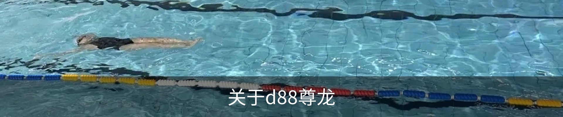 关于d88尊龙